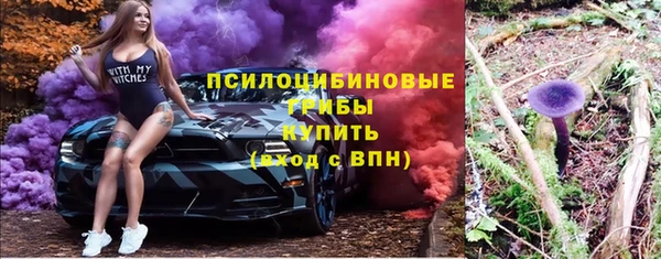 не бодяженный Верхний Тагил